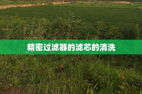 精密过滤器的滤芯的清洗