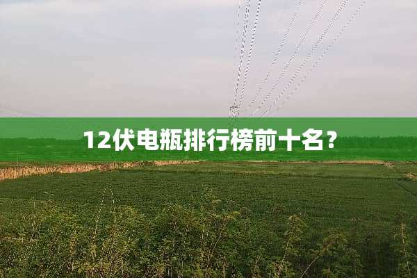12伏电瓶排行榜前十名？