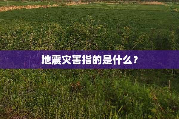 地震灾害指的是什么？