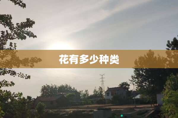 花有多少种类