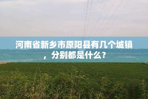 河南省新乡市原阳县有几个城镇，分别都是什么？