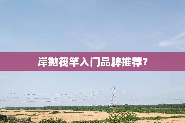 岸抛筏竿入门品牌推荐？