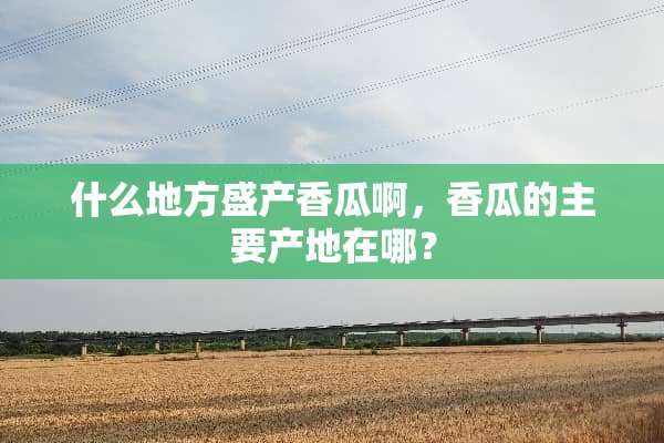 什么地方盛产香瓜啊，香瓜的主要产地在哪？