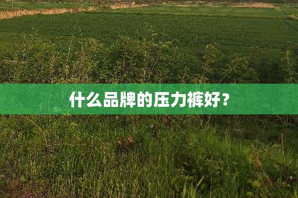 什么品牌的压力裤好？