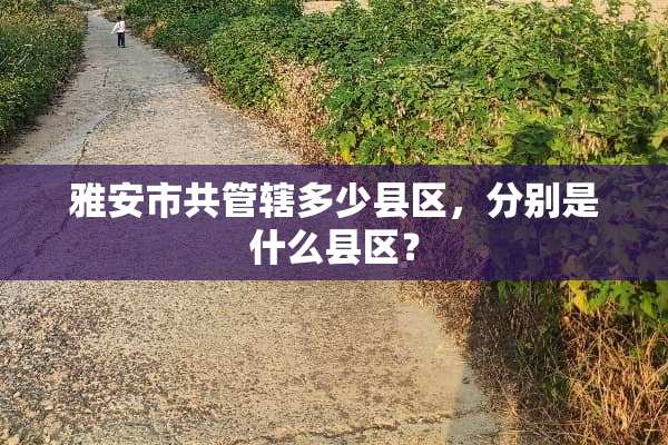 雅安市共管辖多少县区，分别是什么县区？
