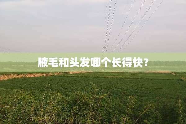 腋毛和头发哪个长得快？