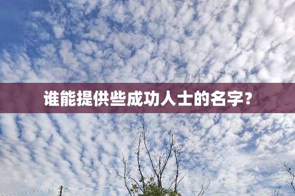 谁能提供些成功人士的名字？