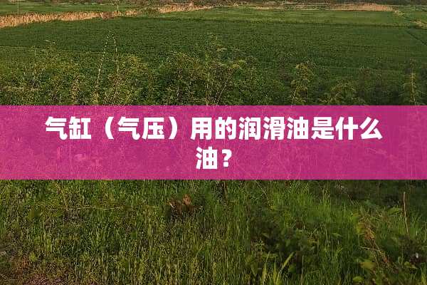 气缸（气压）用的润滑油是什么油？