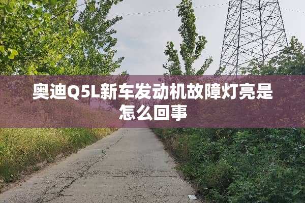 奥迪Q5L新车发动机故障灯亮是怎么回事