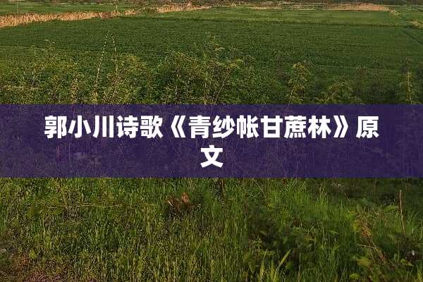 郭小川诗歌《青纱帐甘蔗林》原文