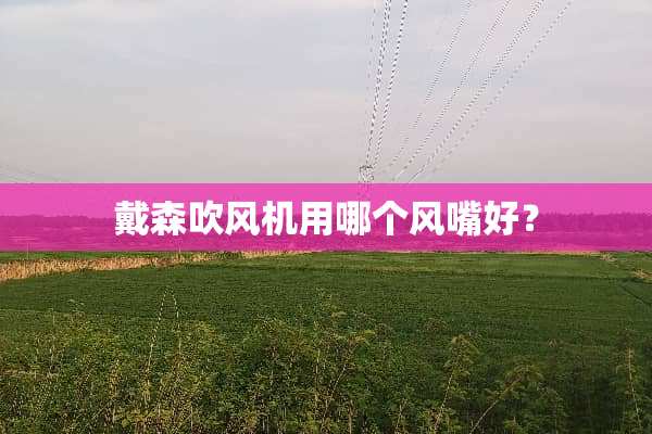 戴森吹风机用哪个风嘴好？
