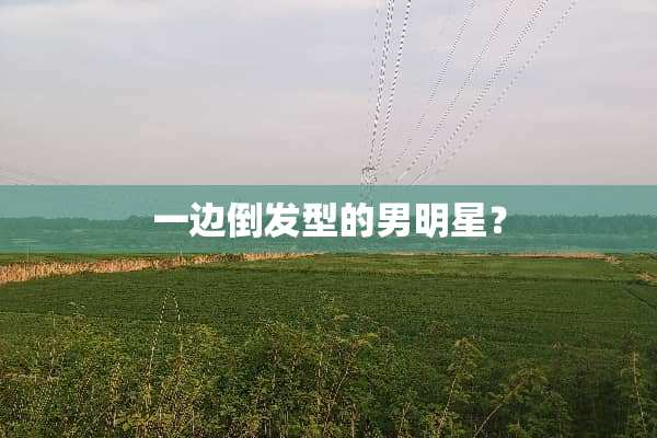 一边倒发型的男明星？