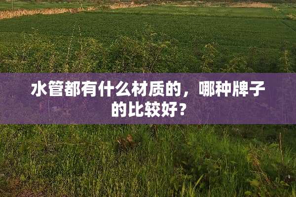 水管都有什么材质的，哪种牌子的比较好？