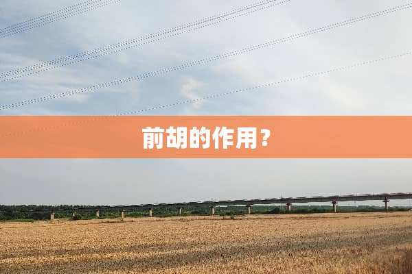 前胡的作用？