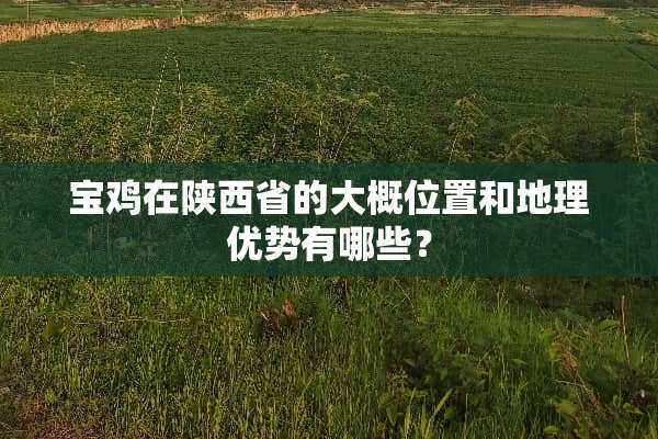 宝鸡在陕西省的大概位置和地理优势有哪些？