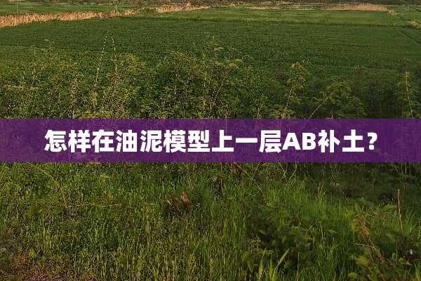 怎样在油泥模型上一层AB补土？