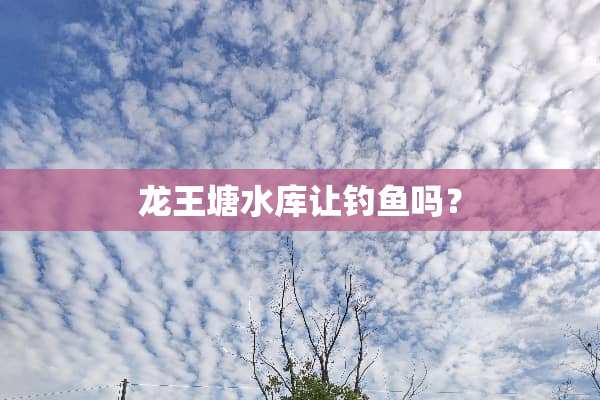 龙王塘水库让钓鱼吗？