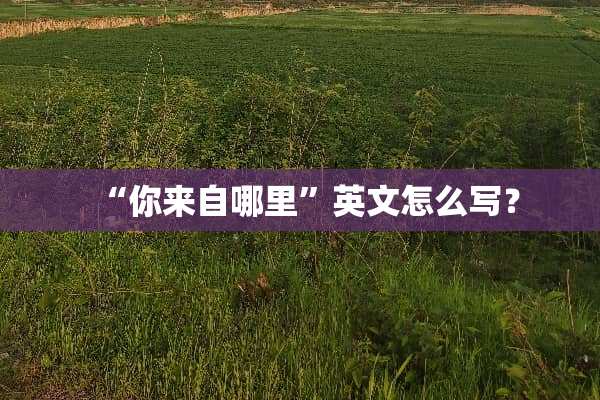 “你来自哪里”英文怎么写？