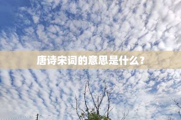 唐诗宋词的意思是什么？