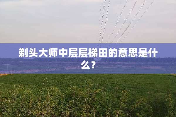 剃头大师中层层梯田的意思是什么？