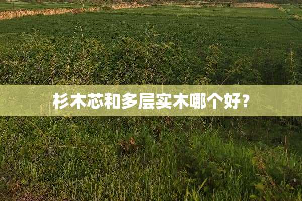 杉木芯和多层实木哪个好？