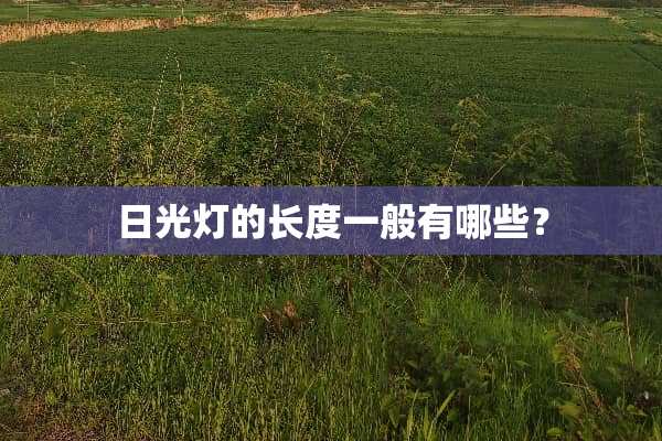 日光灯的长度一般有哪些？