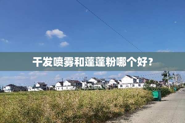 干发喷雾和蓬蓬粉哪个好？