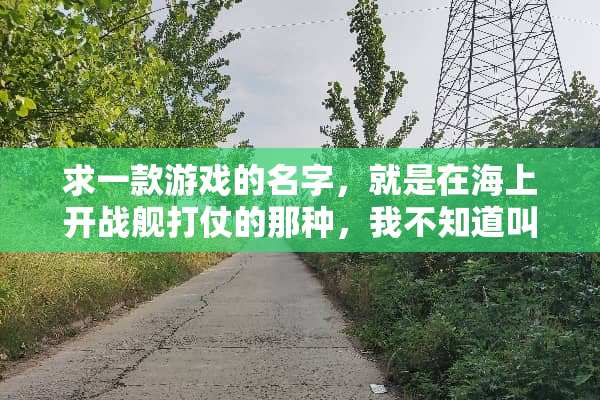 求一款游戏的名字，就是在海上开战舰打仗的那种，我不知道叫什么名字，求告知