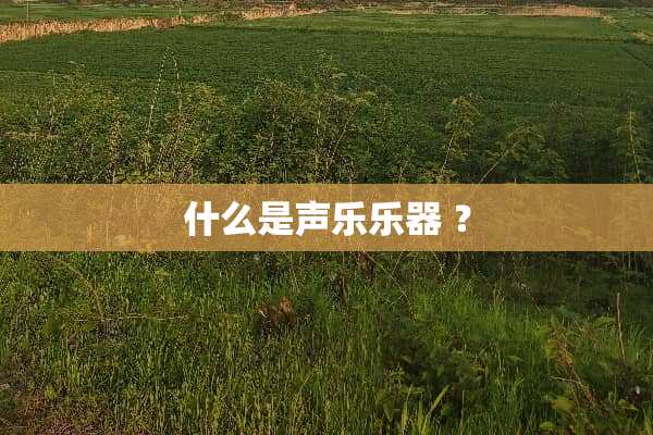 什么是声乐乐器 ？