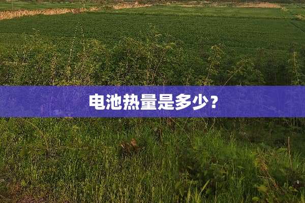 电池热量是多少？