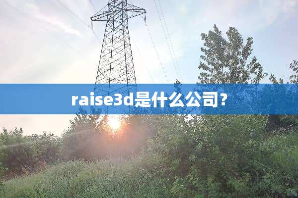 raise3d是什么公司？
