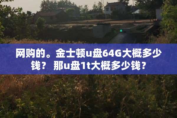 网购的。金士顿u盘64G大概多少钱？ 那u盘1t大概多少钱？