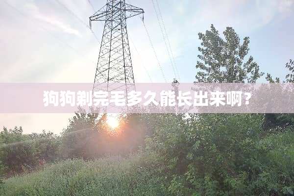 狗狗剃完毛多久能长出来啊？
