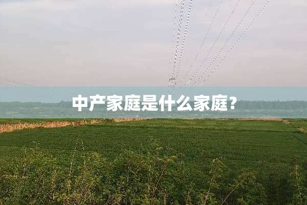 中产家庭是什么家庭？