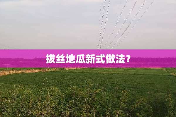 拔丝地瓜新式做法？