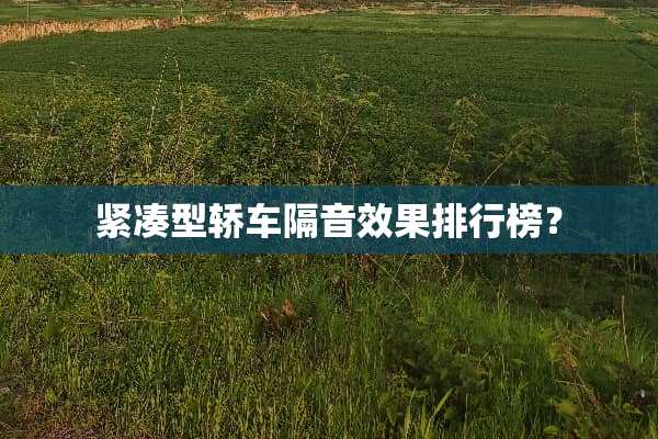 紧凑型轿车隔音效果排行榜？