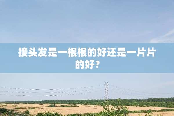 接头发是一根根的好还是一片片的好？