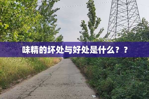 味精的坏处与好处是什么？？