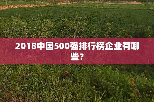 2018中国500强排行榜企业有哪些？