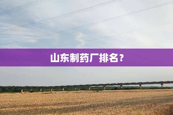 山东制药厂排名？