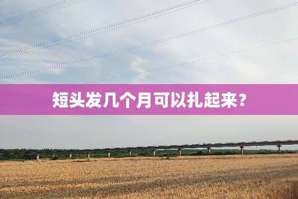 短头发几个月可以扎起来？