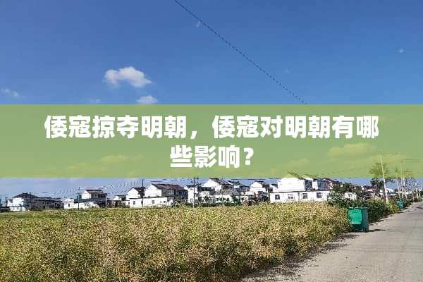 倭寇掠夺明朝，倭寇对明朝有哪些影响？