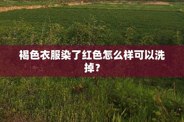 褐色衣服染了红色怎么样可以洗掉？
