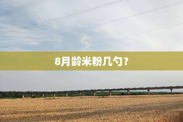 8月龄米粉几勺？