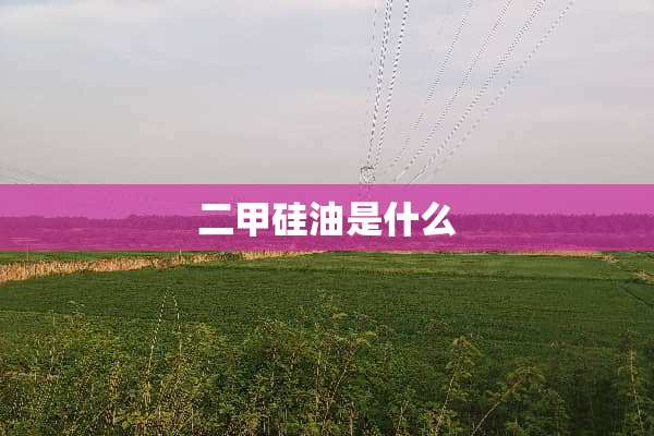 二甲硅油是什么