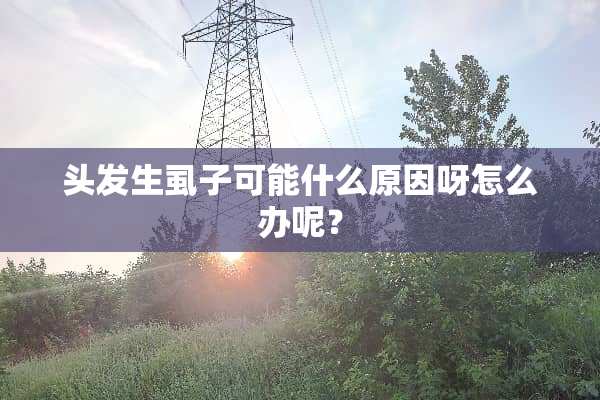 头发生虱子可能什么原因呀怎么办呢？
