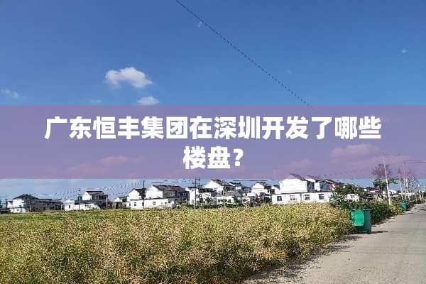 广东恒丰集团在深圳开发了哪些楼盘？