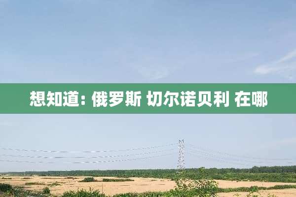 想知道: 俄罗斯 切尔诺贝利 在哪