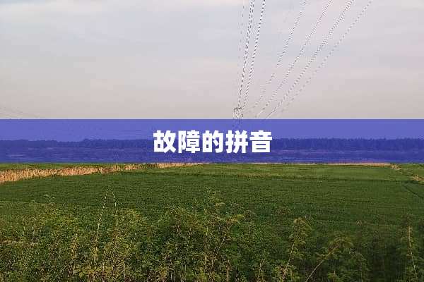 故障的拼音