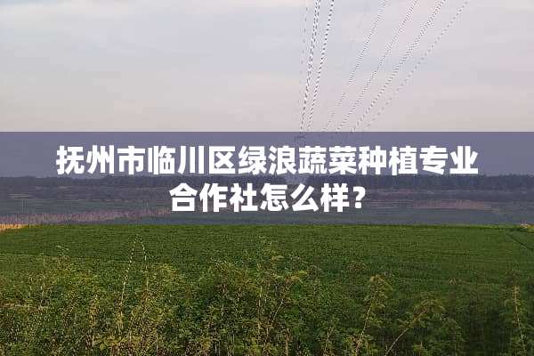 抚州市临川区绿浪蔬菜种植专业合作社怎么样？